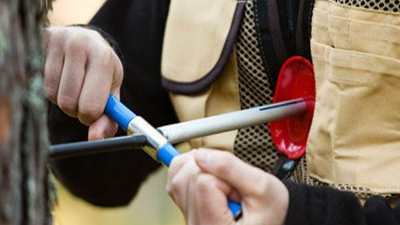 树木生长锥选配工具