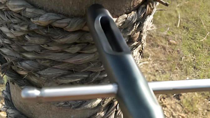 微型树木生长锥